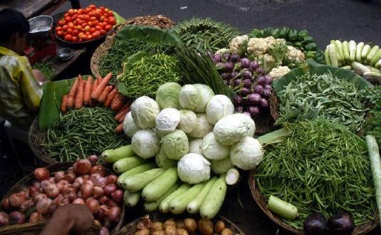 cara berbisnis sayuran