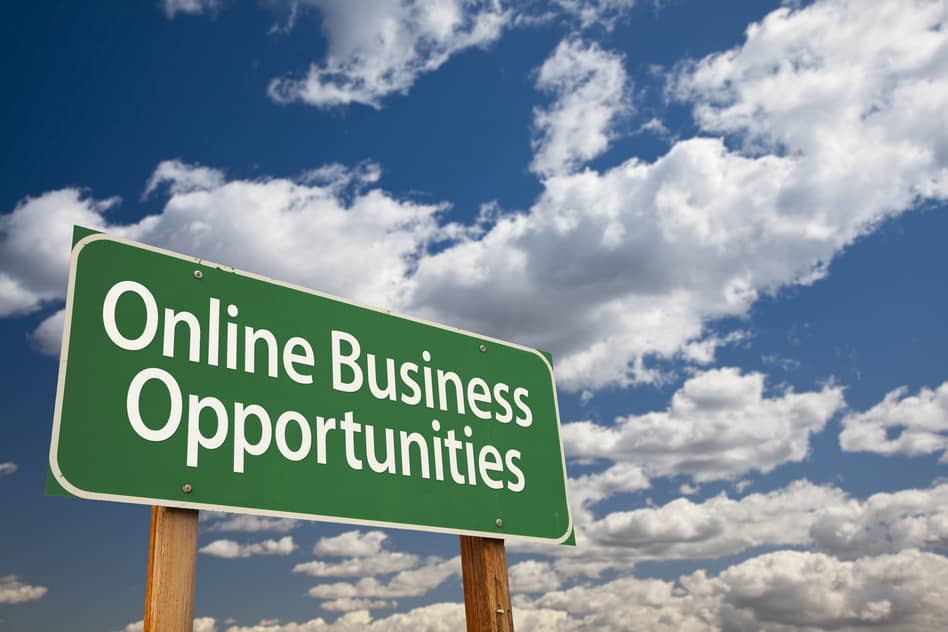 peluang bisnis online
